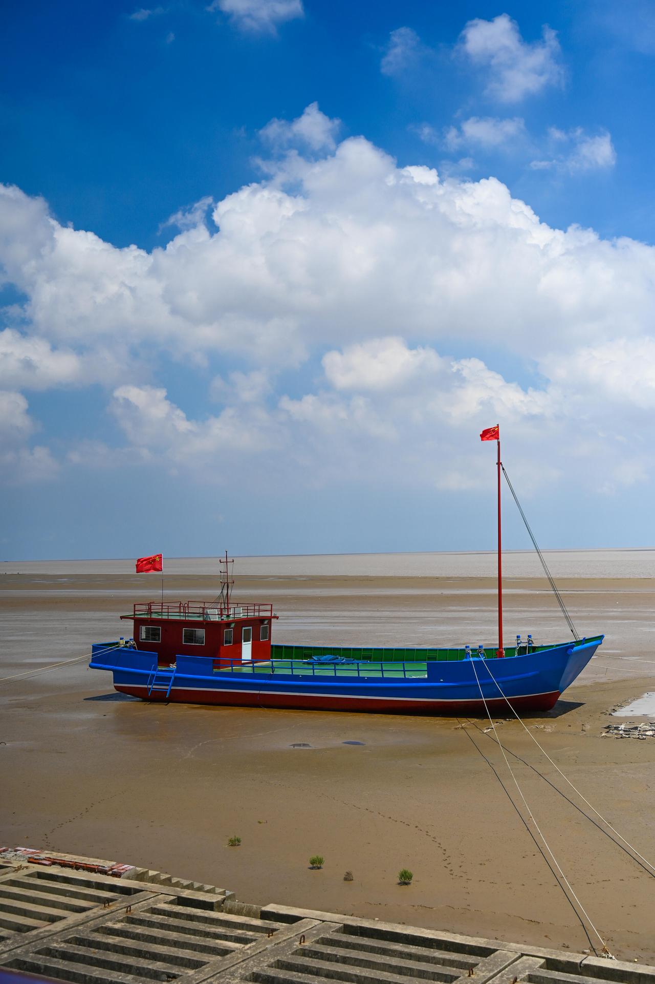 刚从盐城回来，心里攒了4个疑问，真心求本地人解答！盐城的湿地、麋鹿、古镇真的特