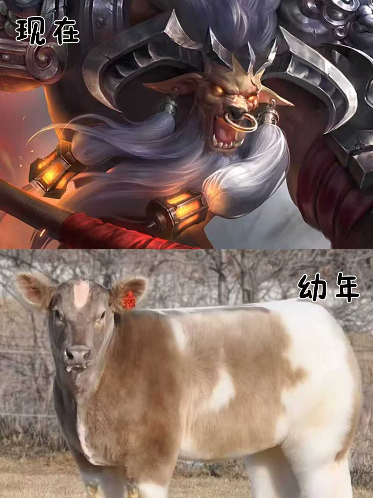 长大后我就成了……王者荣耀王者荣耀