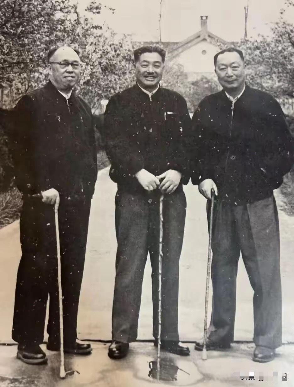 这张照片拍摄于1961年四川成都金牛坝，照片中的三位元帅你都认识吗？他们有哪些事