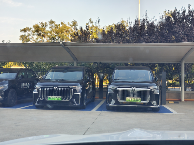 25款岚图梦想家二排震动问题一直想买个适合座还适合开的mpv，从翼真380到极