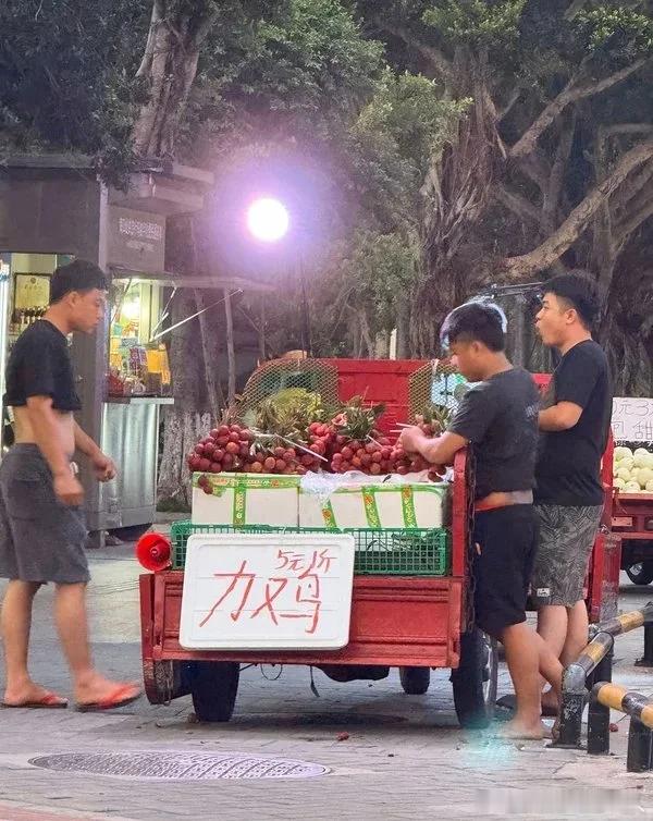 力鸡