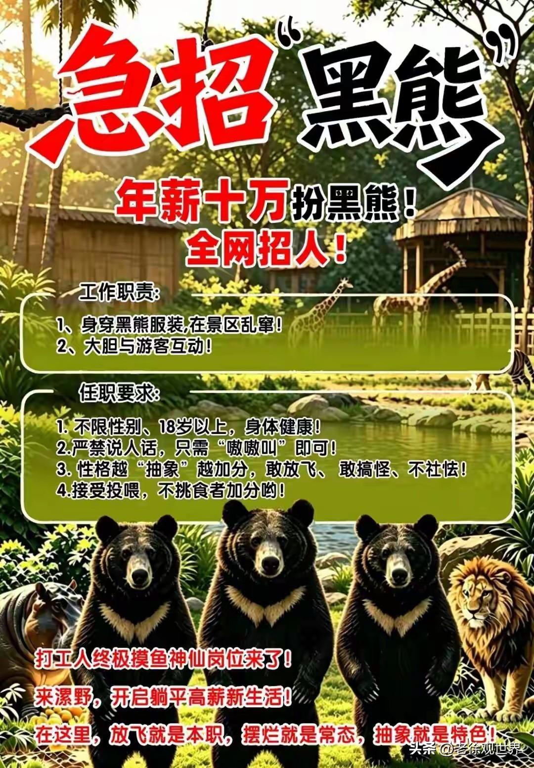 打工人终极摸鱼岗！年薪十万招真人扮黑熊！谁懂啊！现在景区招聘直接卷出新高度