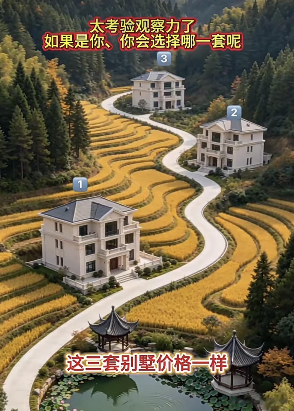 太考验观察力了，这三套别墅价格一样‼️你会选择其中哪一套呢⁉️