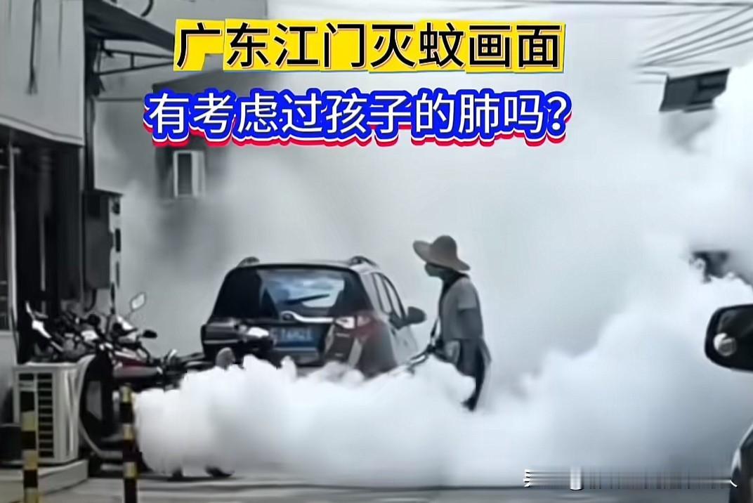江门，灭蚊大战。室外要灭，室内也不能放过。不让一只蚊子活着离开江门。
