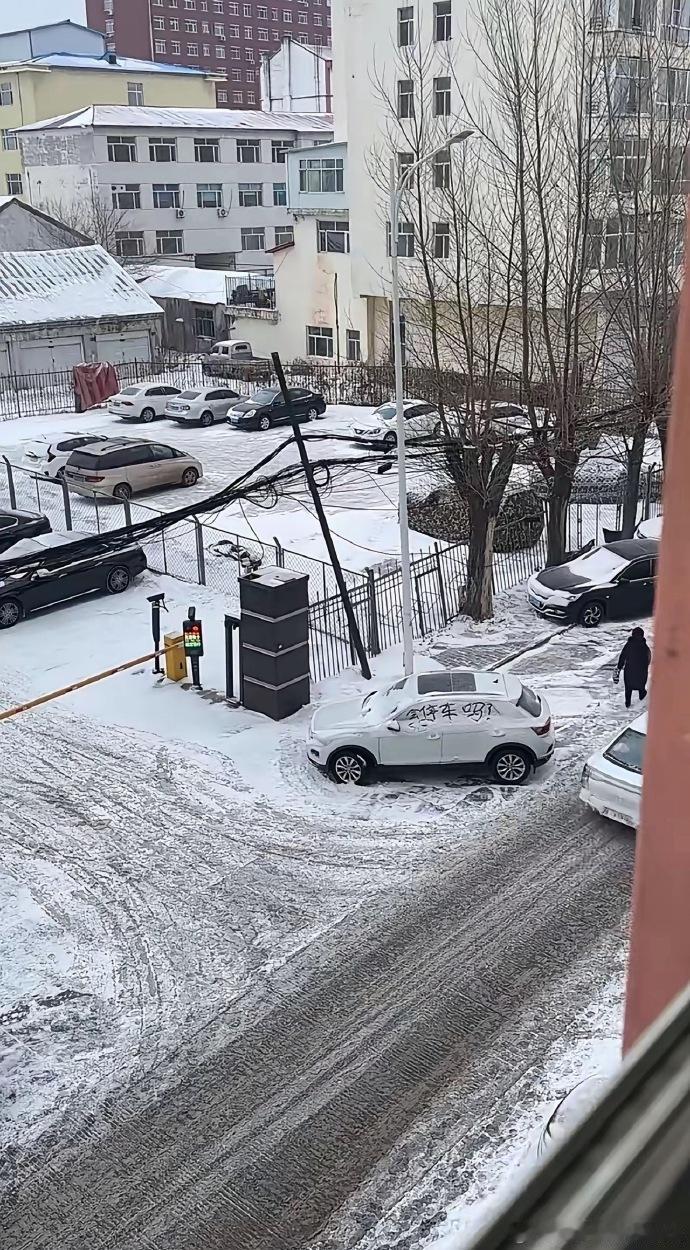 下雪就是好，请找图中亮点[捂脸哭][捂脸哭]