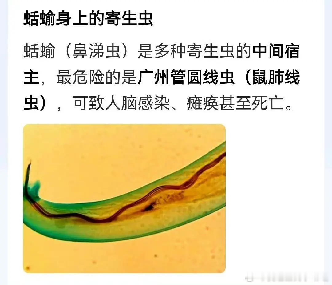 妈呀，大晚上看得我头皮发麻！你们吃烤肉的生菜会烤熟吗？