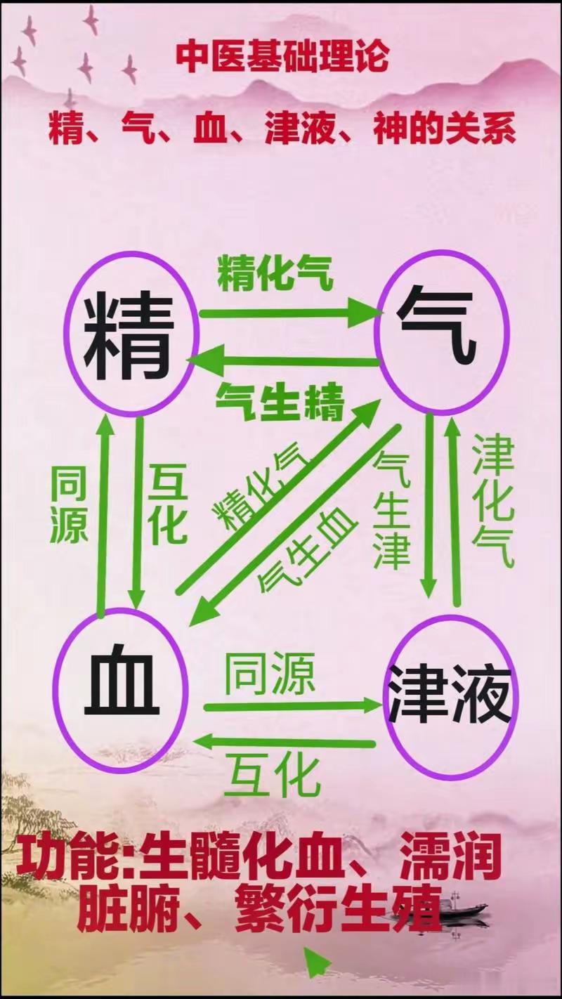 中医精髓核心是3点，精准好：1. 整体观念：人是整体，人与自然、脏腑间相互关联，