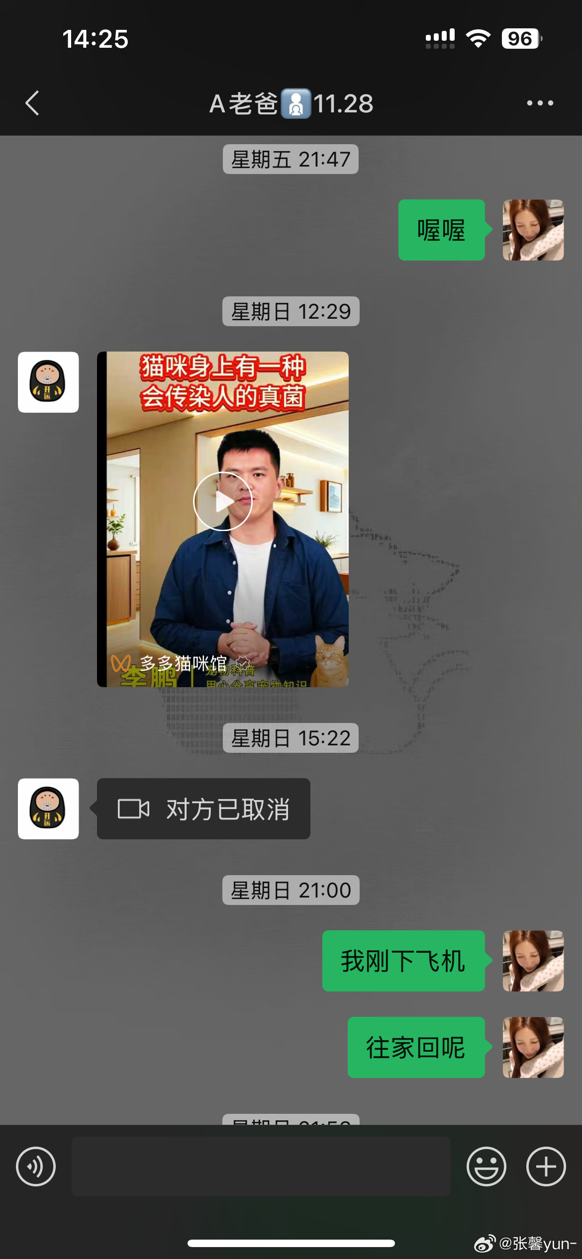 养猫以后我爸belike​​​