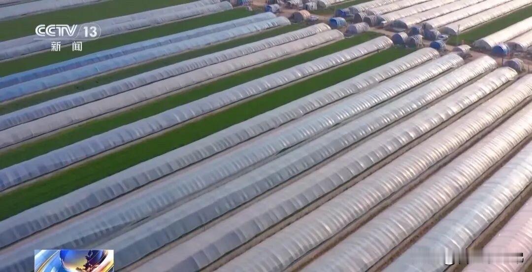 央视聚焦主城庐阳[赞]一半烟火气，一半精致感，合肥这处宝藏出圈了！庐阳都市