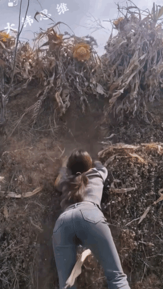 想走捷径超近道，没点真功夫是不行的！