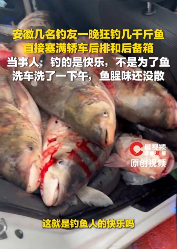 安徽钓友专门开车跑常州夜钓，鱼情好到离谱，整晚连竿根本停不下来很多爱钓鱼的人