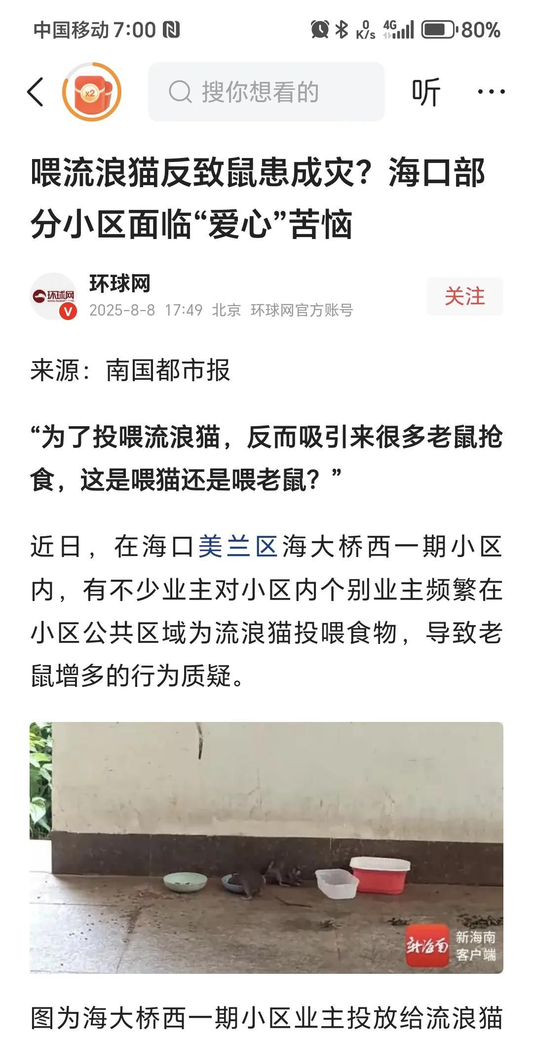 喂流浪猫反导致鼠患？环球网发布的文章，消息来自南国都市报。投喂人声称投喂流浪