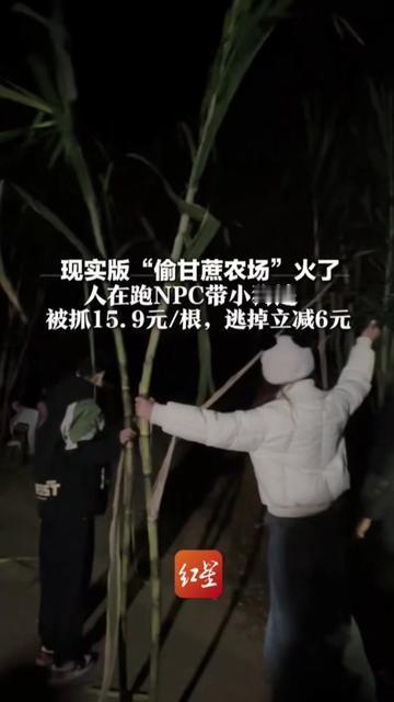谁能想到？小时候被王大爷家狗追得摔进菜地里的偷甘蔗，现在居然要花15块钱主动找罪