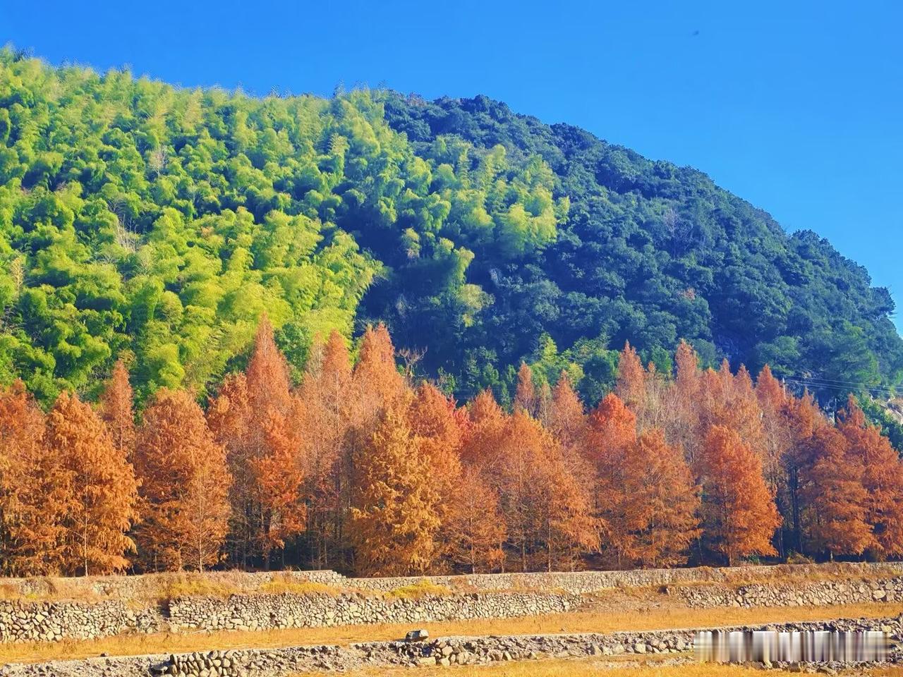 2026年广东退休人的迷茫。2026年广东退休，可能对是否有4元的年限津贴一