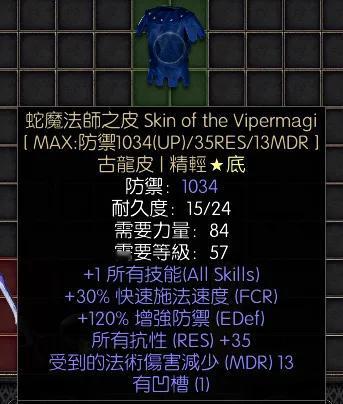 暗黑二重制版战网拍卖极品之蛇魔法师之皮蛇魔法师之皮，蛇皮，暗金衣服，非赛。1