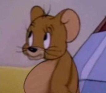 前两天网传协查文书是真的嫌疑人也被抓到了面相学真有说法，开始信了....