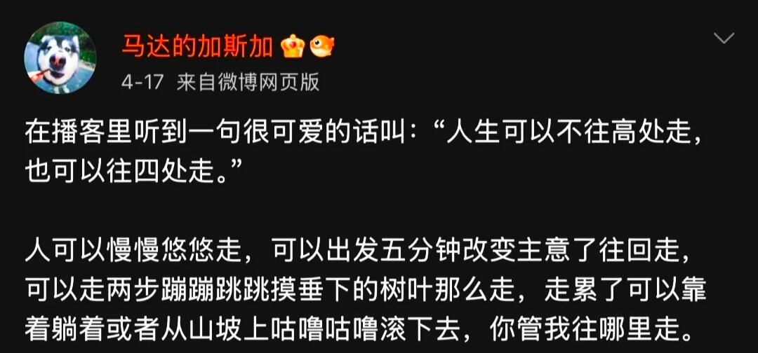 天呐！好牛的角度🥺被这段话狠狠治愈了​​​