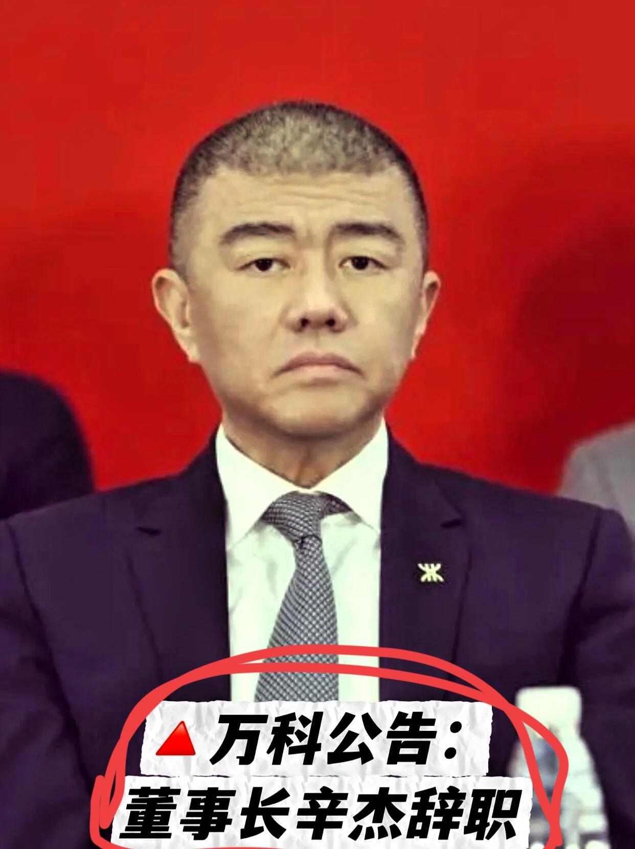 万科icon负债8700亿我能理解万科董事长辛杰失联我也能理解。但他失联24