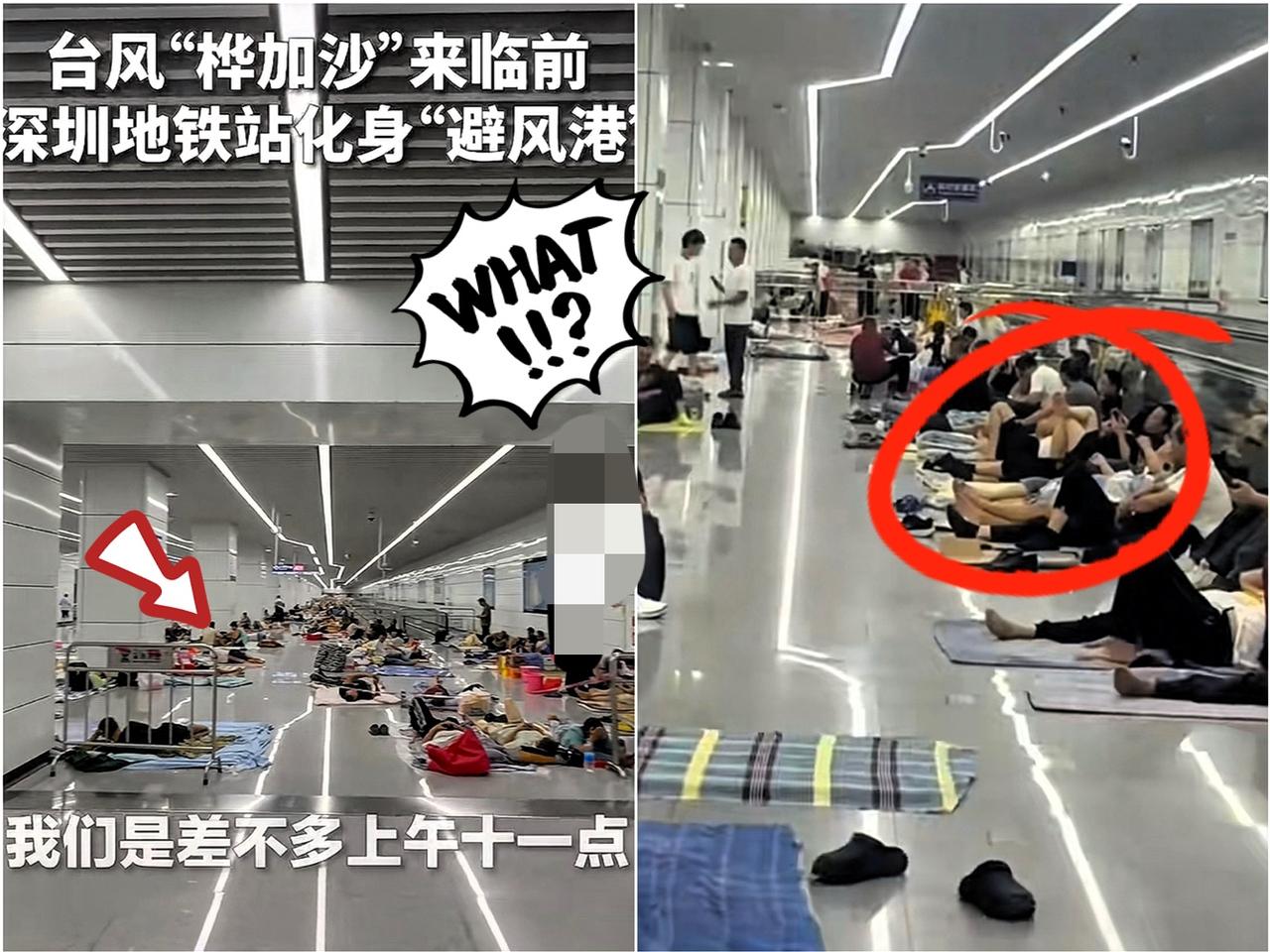深圳彻底出名了！本以为台风天只剩狼狈，没想到地铁站成了最安心的“避风港”…