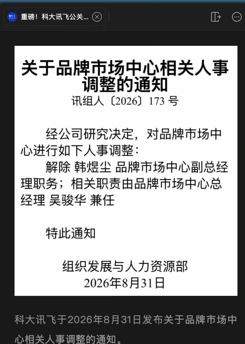 ‌早期从业经历‌：曾担任360IoT及手机业务公关总监、阿里巴巴市场公关，还