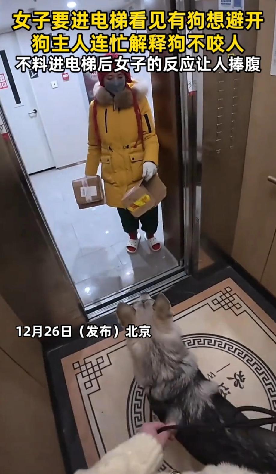 笑惨了！北京一女子要进电梯看见有狗想避开，狗主人连忙解释后狗不咬人。女子壮壮胆进