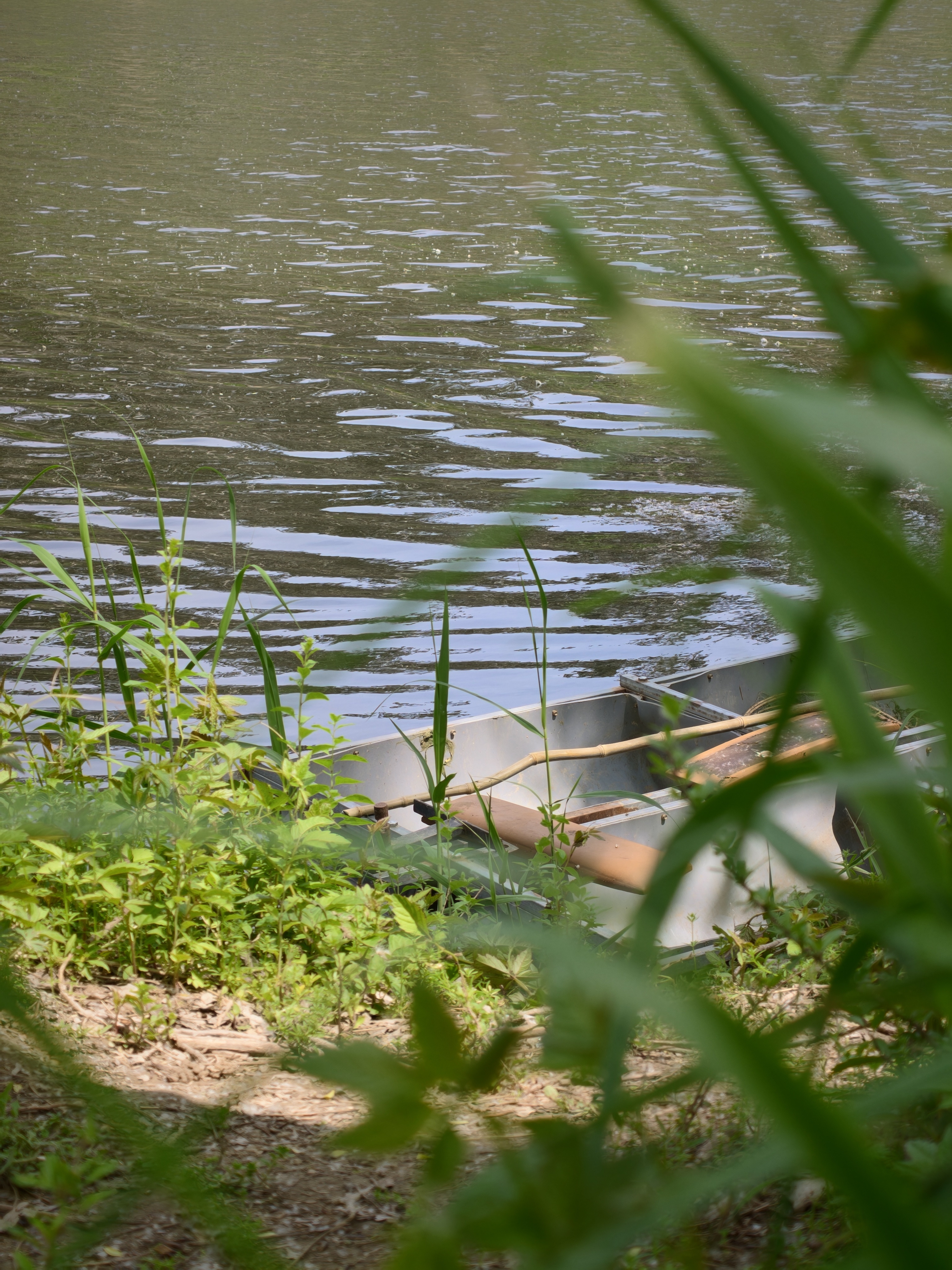 小船儿轻轻飘荡在水中迎面吹来了凉爽的风