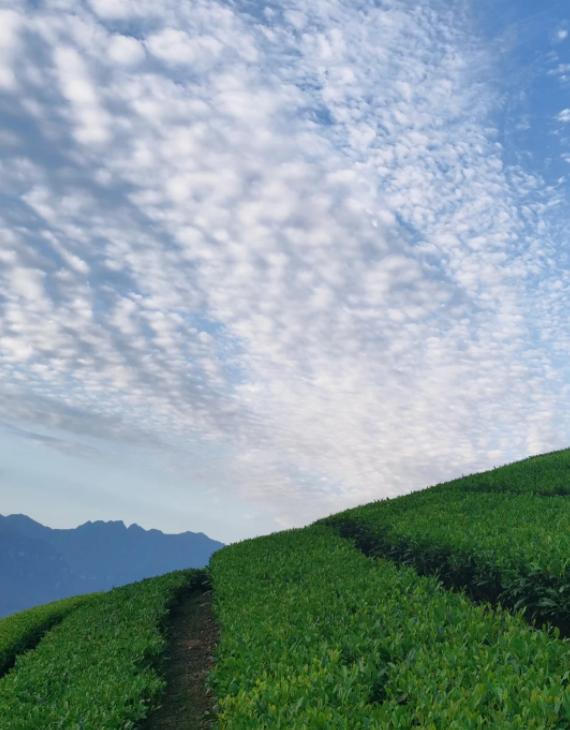 女人记住这4点，会处世才能赢亲爱的朋友们大家好，我是海林小百科。今天我们聊聊处