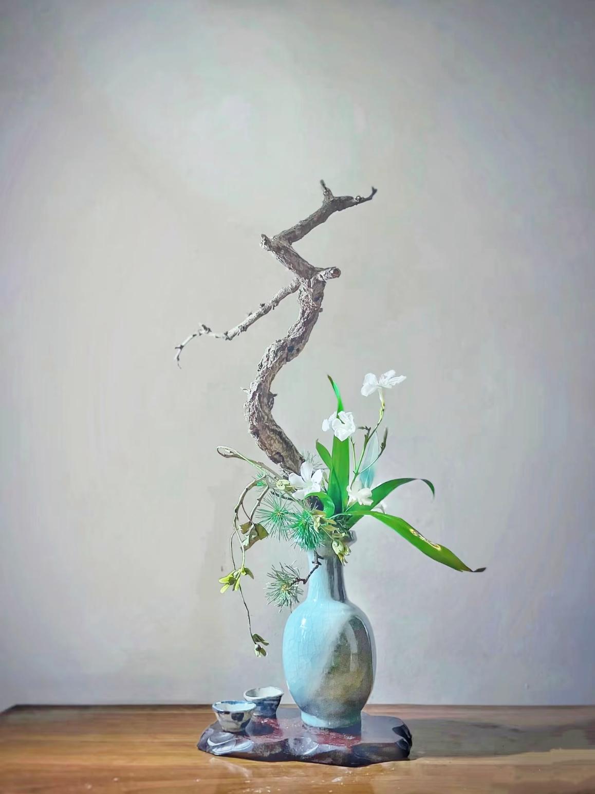 有了钱，你才有资格，大大方方的，独来独往，做自己。别不好意思承认，钱最牛