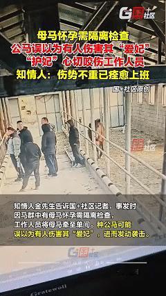 原来马里也有宠妻狂魔！近日新疆塔城，马场中有匹母马怀孕了，工作人员便将母马牵到单