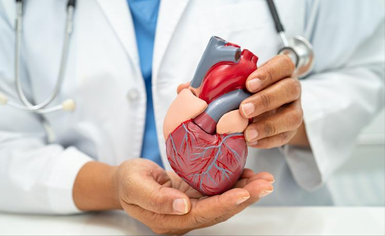 心脏决定寿命，建议中老年人：多吃这5种