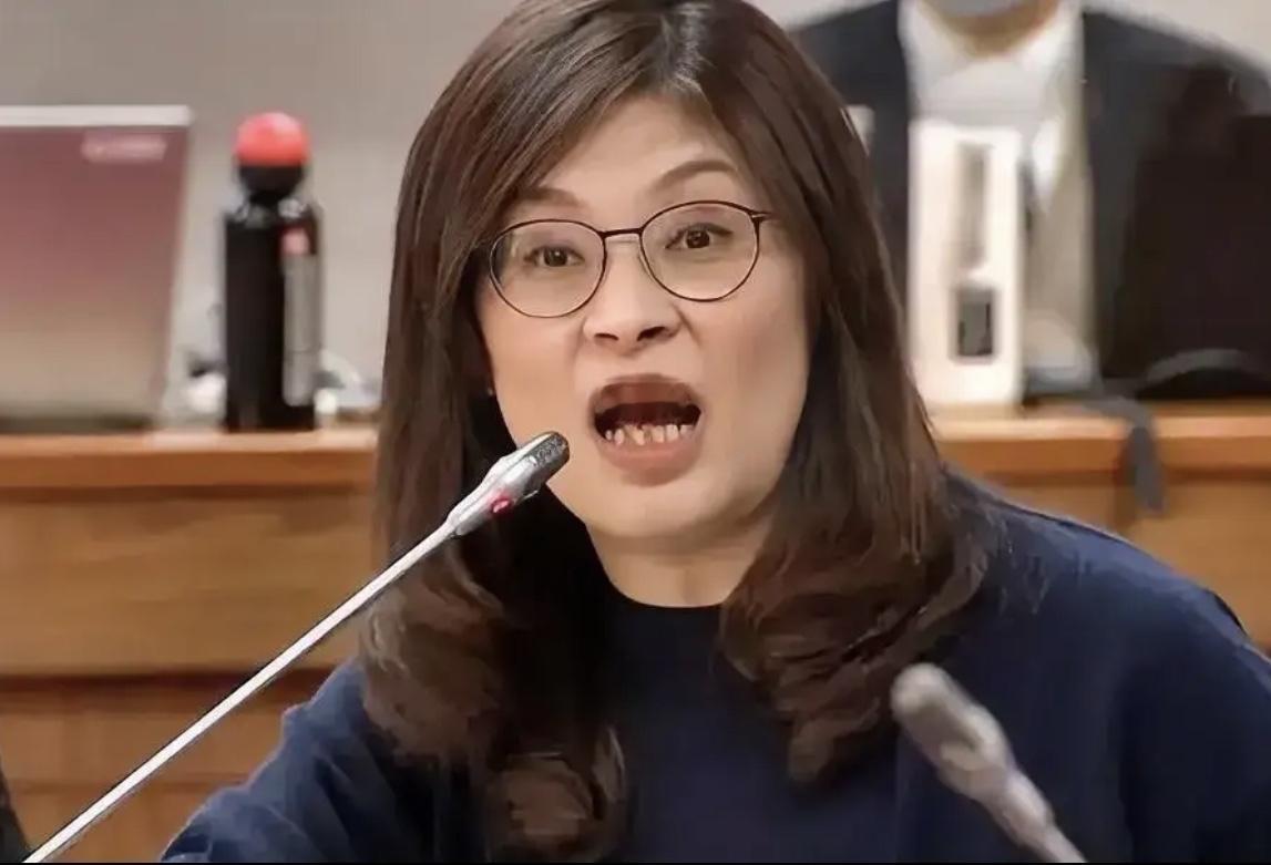 郑丽文当选背后藏着惊天阳谋？蓝绿唱双簧，台岛分裂加速器！表面看是郑丽文激进上位，