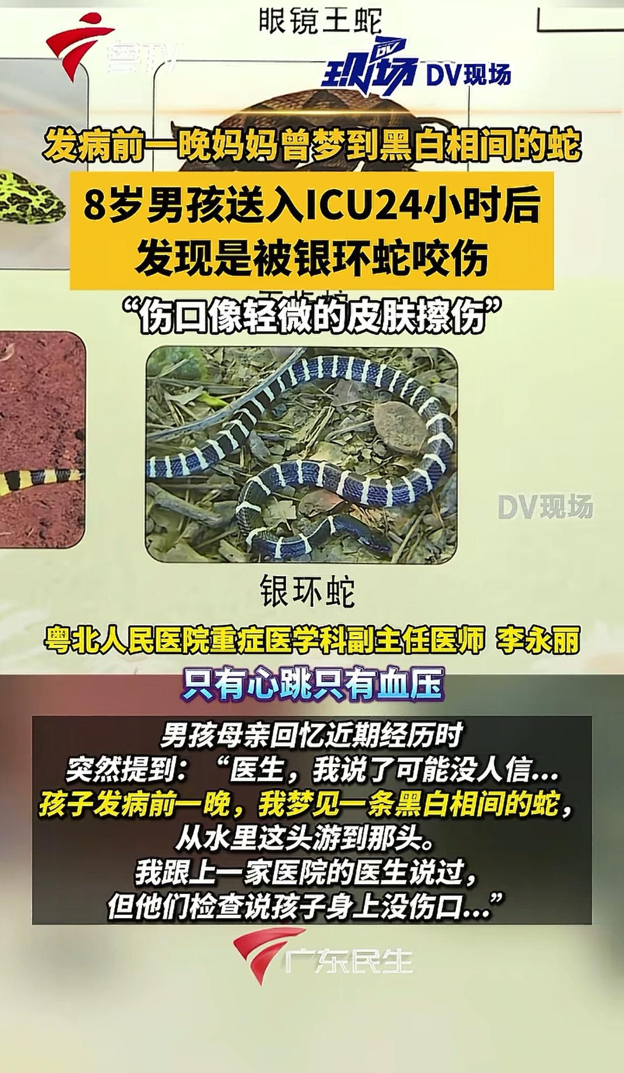 医生都解释不清了！广东韶关，8岁小男孩突然昏迷，医生查了半天找不出原因，这时孩子