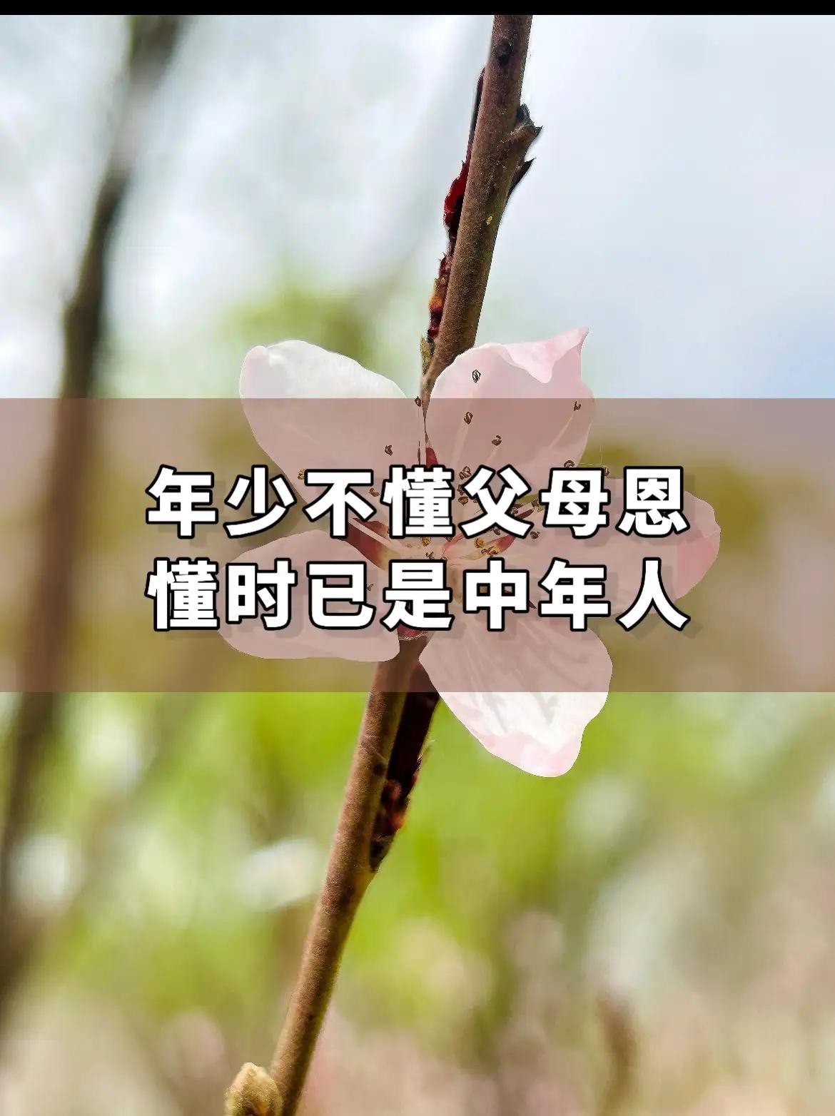 人到中年回头看，才读懂父母存在的真正意义。人到中年，自己当了父母，才真正看懂了