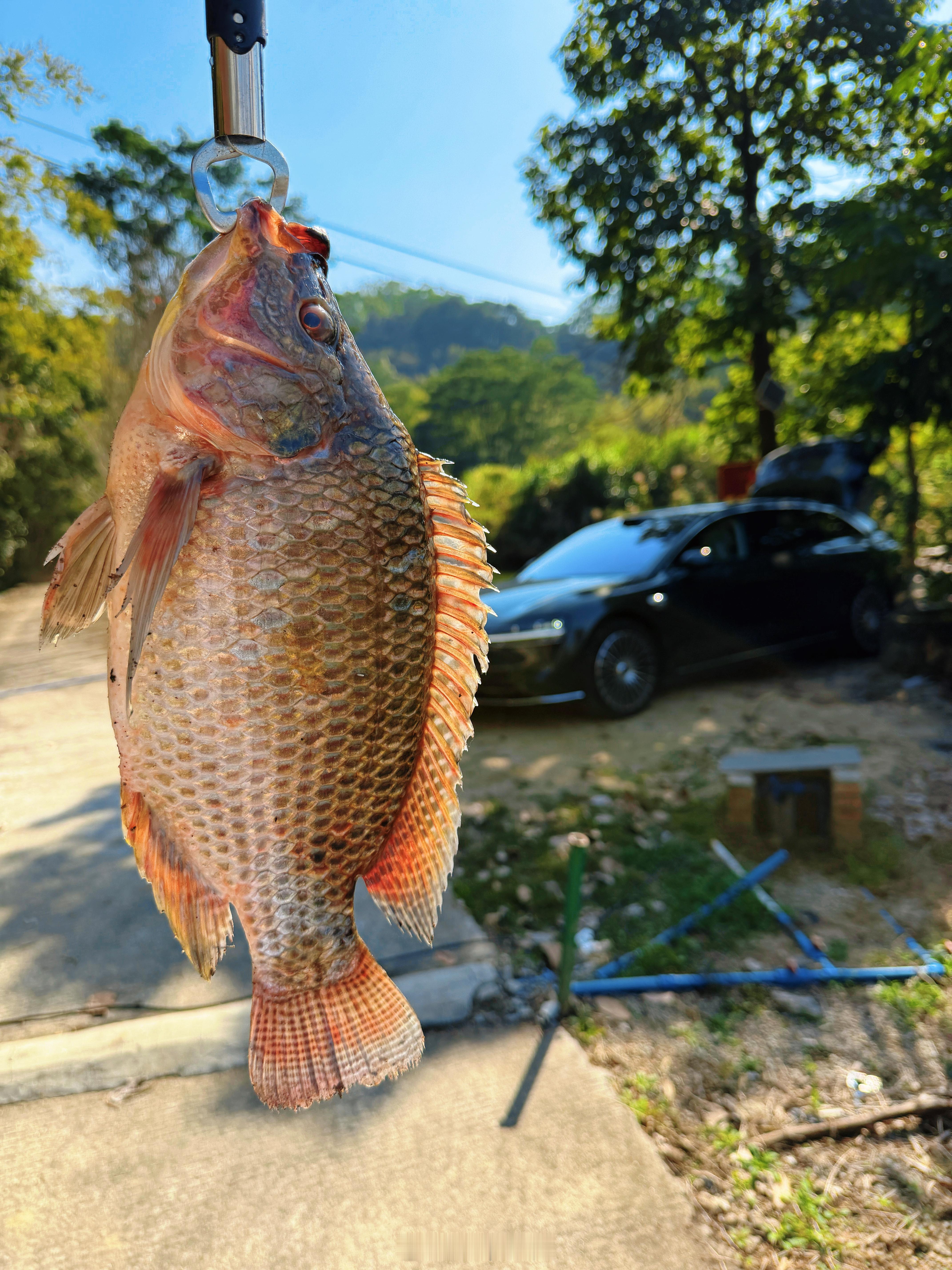 旅行车不旅行，钓鱼行不行享界S9T