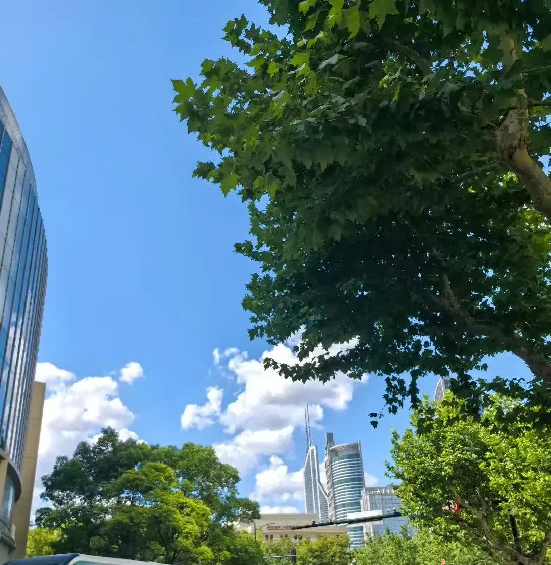 现在有好单位的大龄男子也难找到女朋友。住我们一栋楼的有一个36岁男生，还