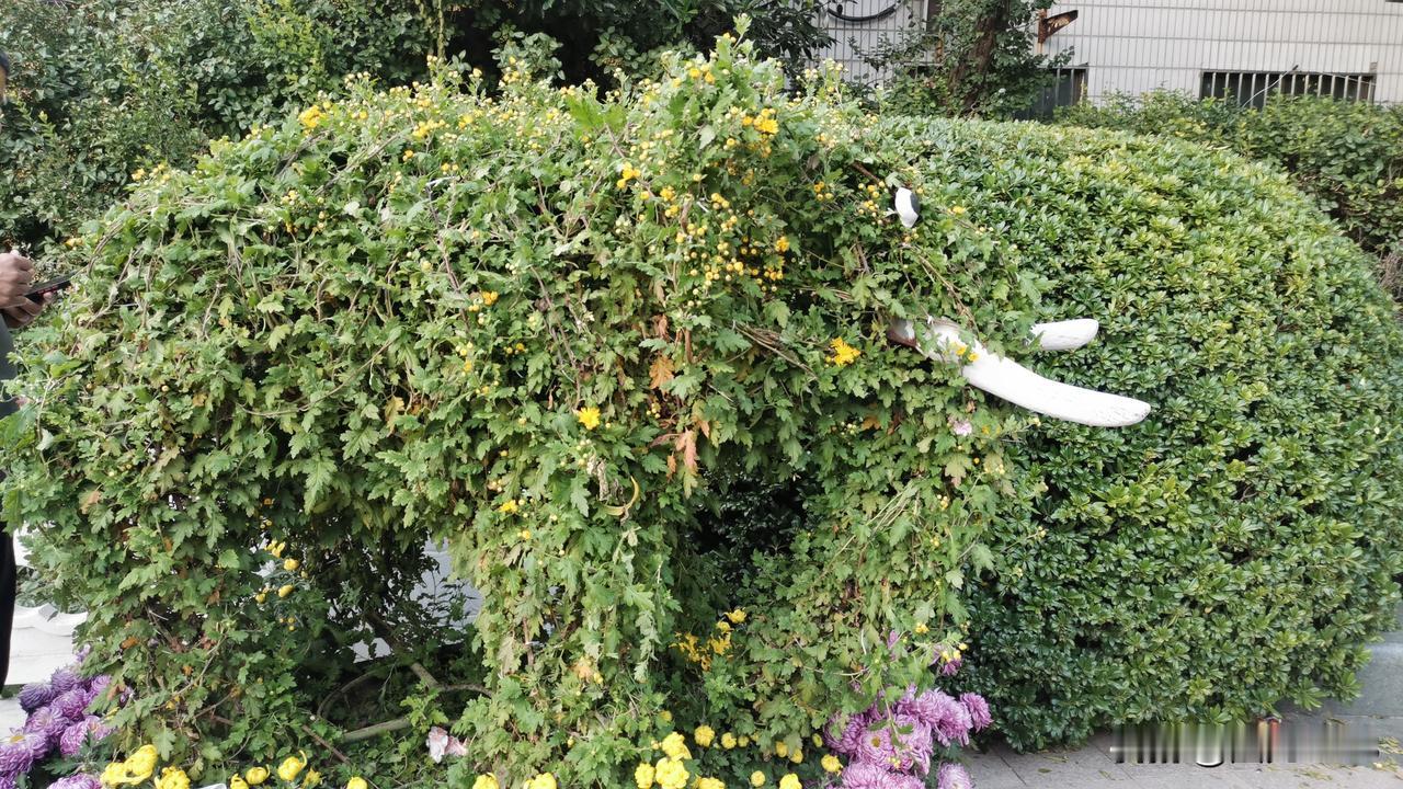 人到中年，除了钱什么最重要了年过四十基本上都到了中年，中年人身体各方面都出现了问