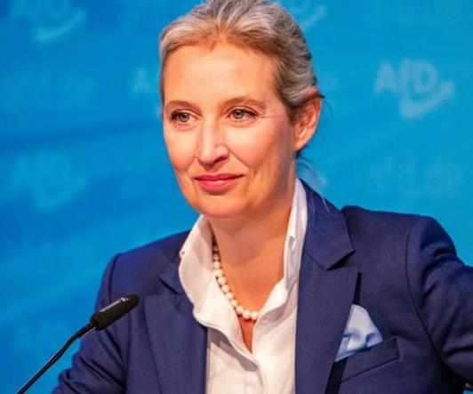 德国选择党（AfD）党首爱丽丝·魏德尔在接受《经济学人》采访时表示，德国应该停止