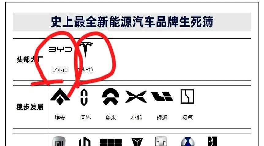 2018年比亚迪销量50万，特斯拉销量24.5万辆。谁能想到当年被甩开一