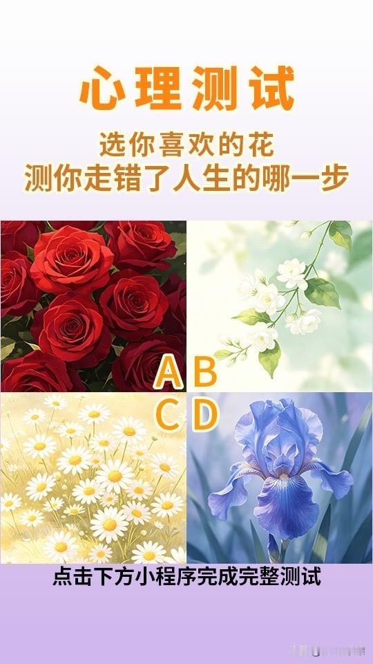 选你喜欢的花测你走错了人生的哪一步