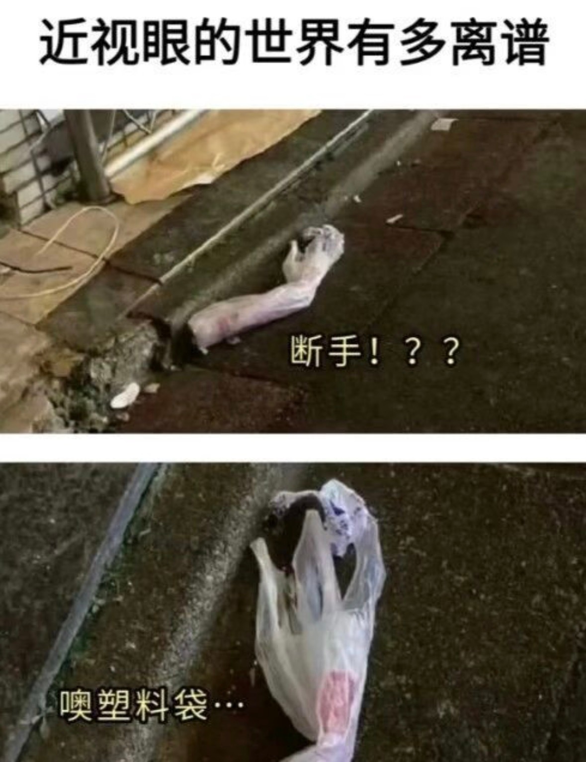 近视眼的世界有多离谱​​​