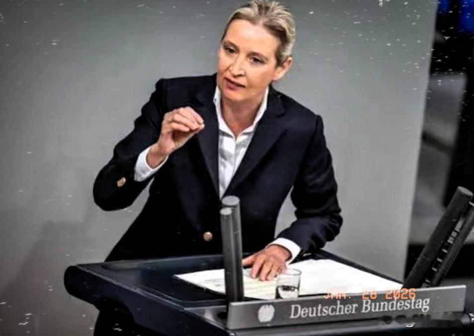 1月25日，德国选择党领袖魏德尔直言不讳的表示，“我可以明确告诉大家，待咱们德国