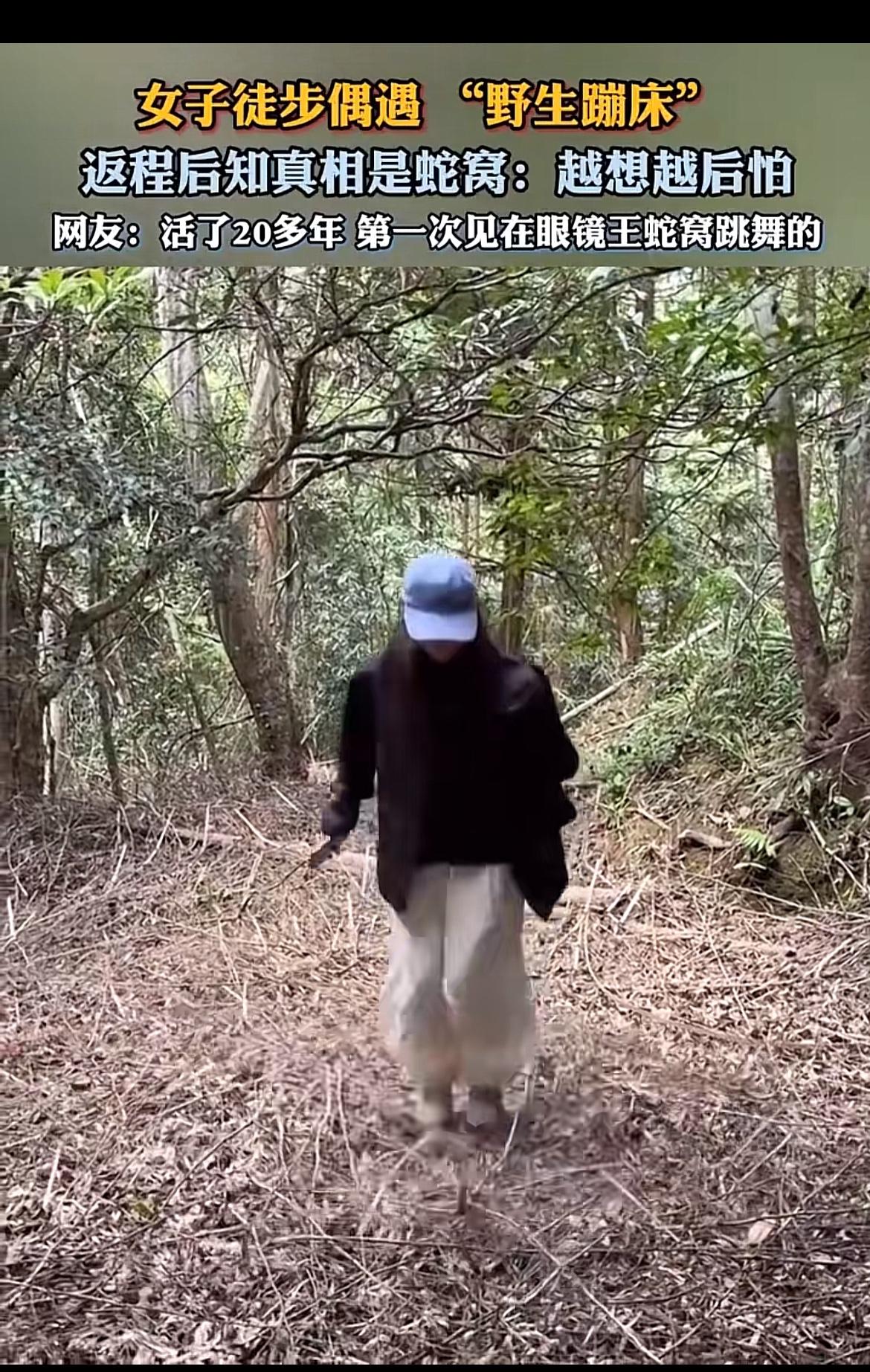 刷到江西上饶这位徒步女生的经历，我鸡皮疙瘩直接起来了。进山徒步撞见落叶堆得厚厚