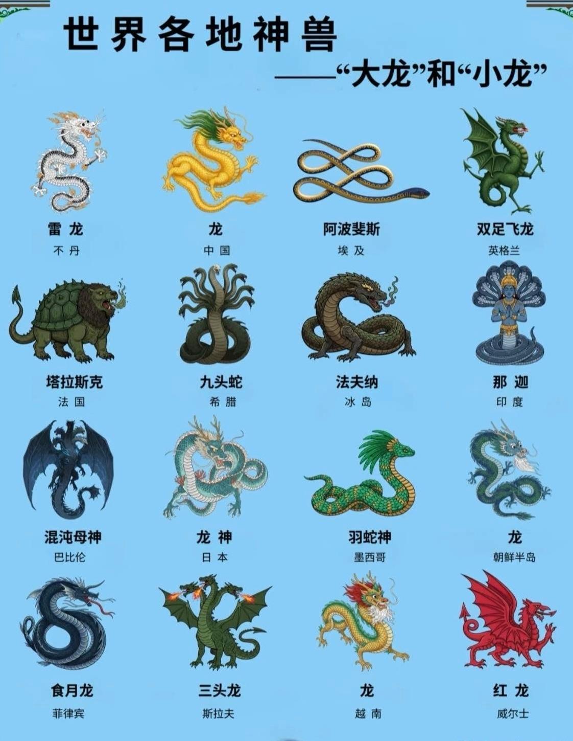 还是我们的五爪金龙更有威严