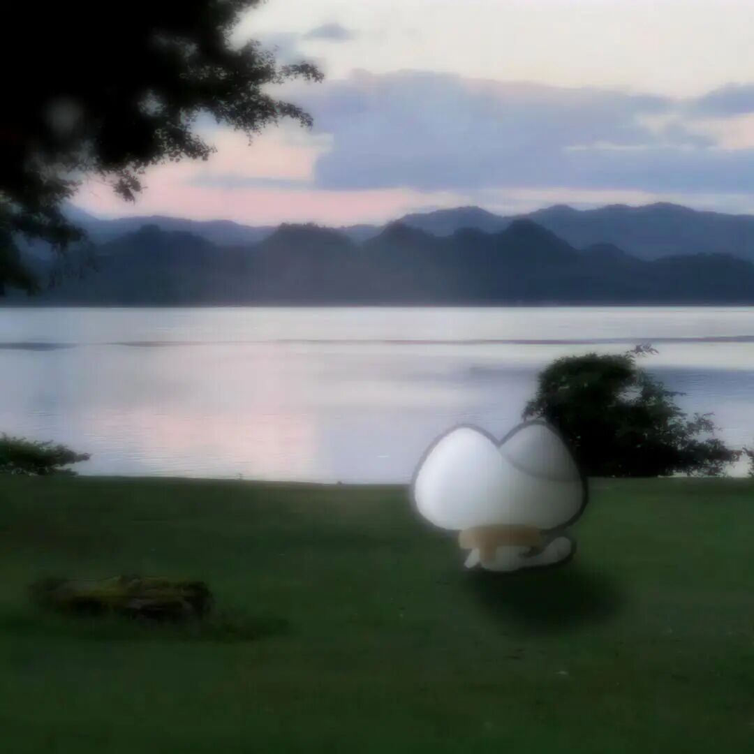 小猫梦境⸝⸝⸝･゜ﾟ