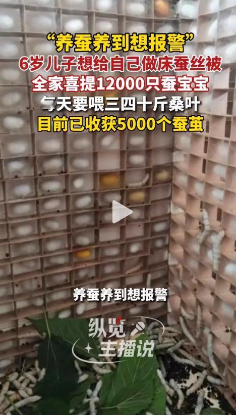 “我现在听见‘沙沙’声就头皮发麻！”5月19日，武汉一位妈妈在网上哭诉，6岁儿子