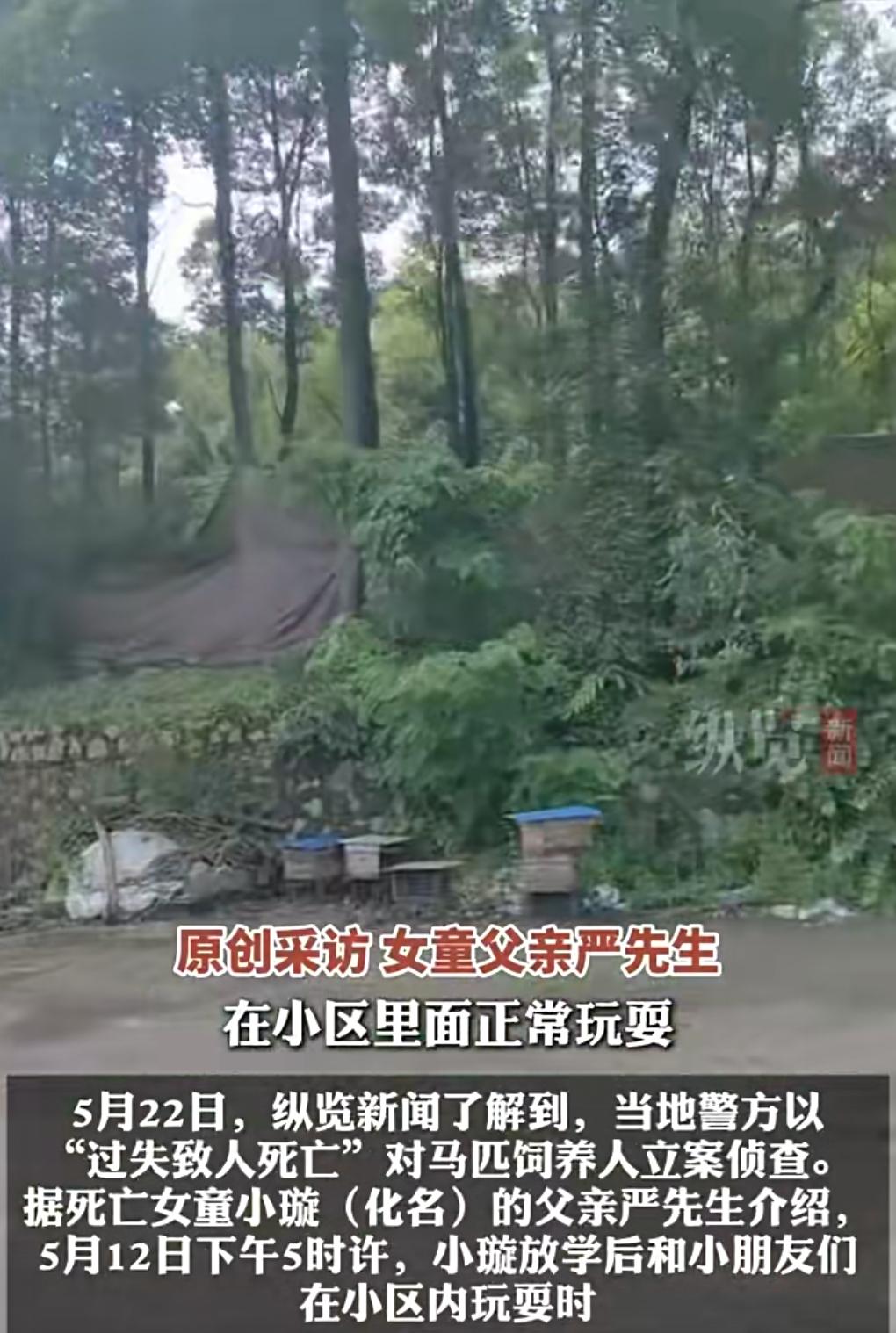 真是太悲剧了，竟然发生这种事。马主人应该要做出巨额赔偿，毕竟是一个5岁的女孩没