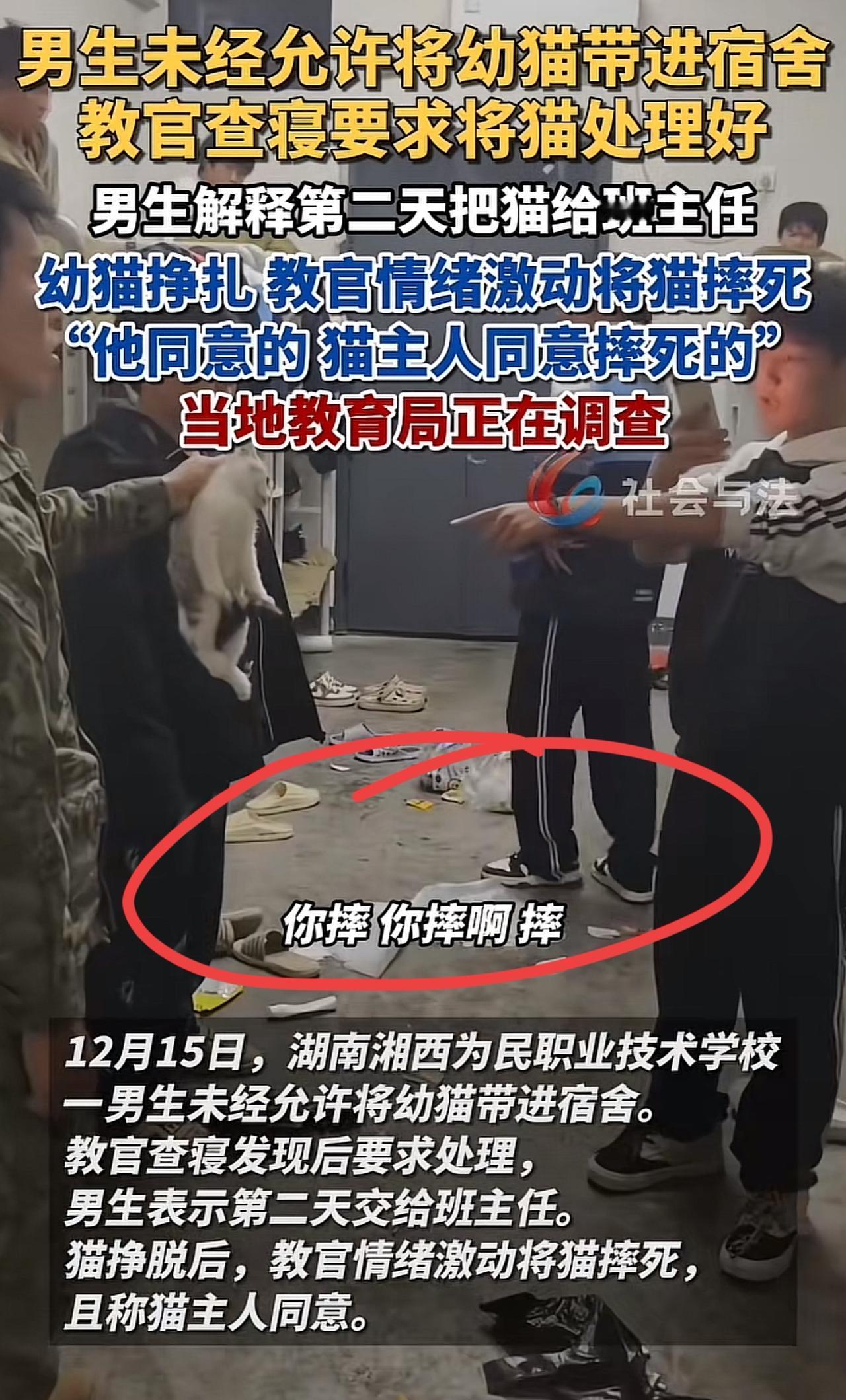 教官摔猫这件事最值得同情的不是那名学生，而是那只任人宰割的可怜小猫，这名学生未经