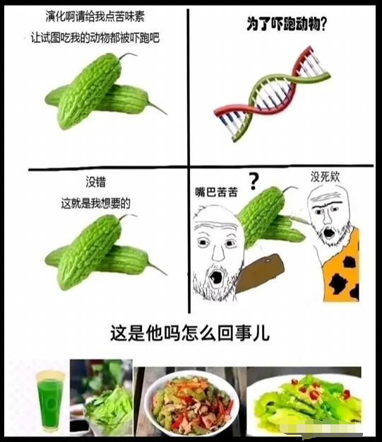 今天吃点什么好？
