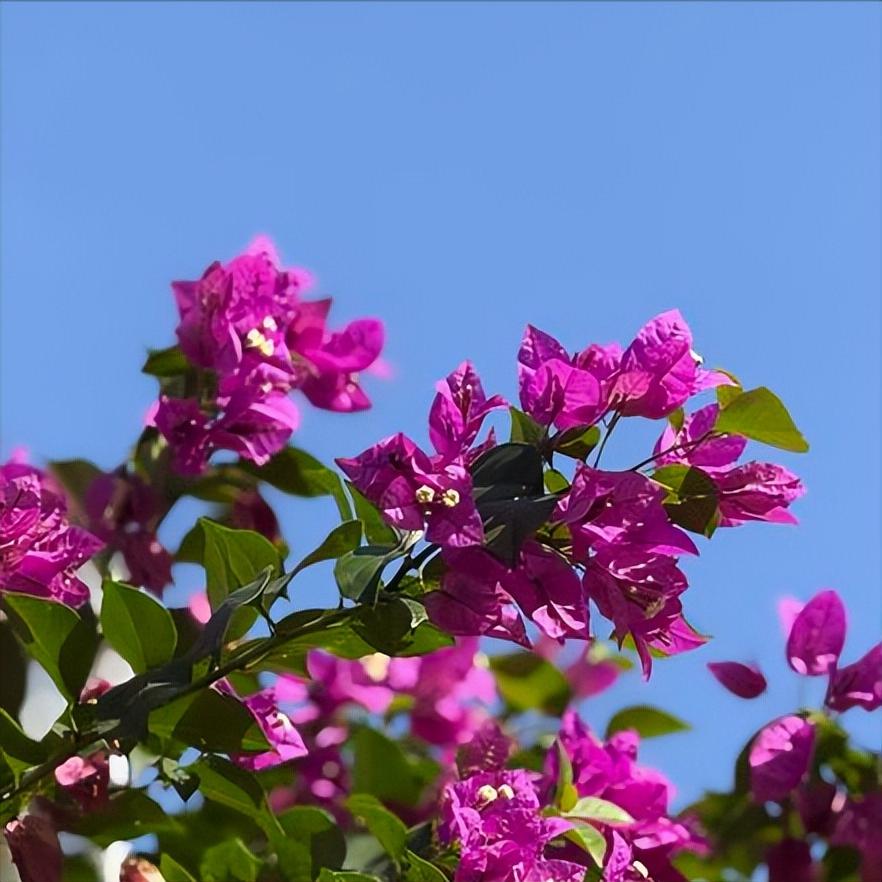 12月4日，南宁迎来新的主要负责同志。 该市是面向东盟国家的开放门户，是华南