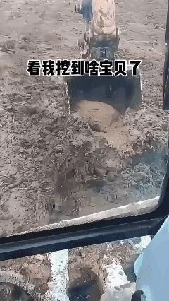 看我挖到什么宝贝了，这辈子不用上班了！[哭哭]